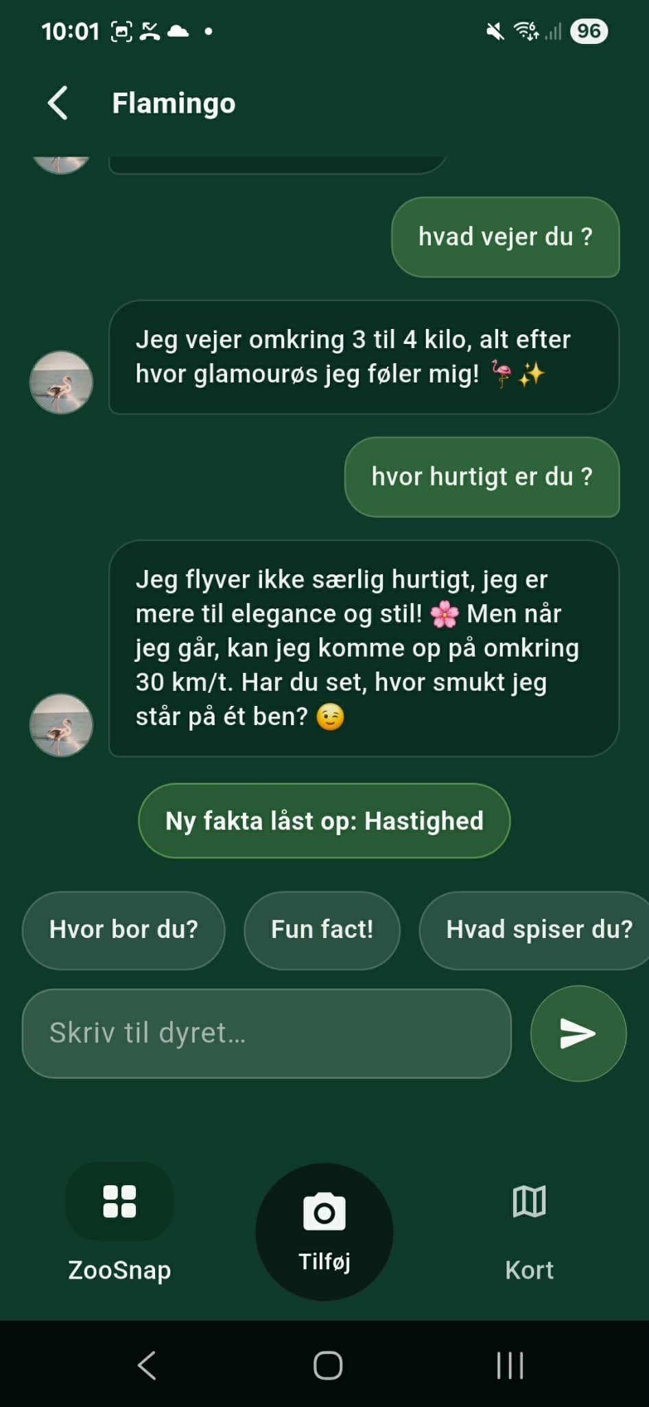 Chat med et dyr i ZooSnap